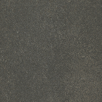 YS-9096-10